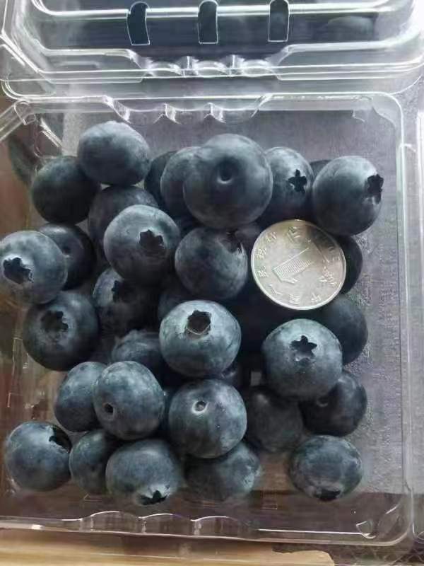蓝莓用热水洗了颜色变黑还能吃吗 蓝莓能用热水洗吗