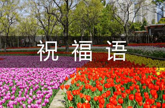 2025护士节高级有质感祝福语（精品13句）