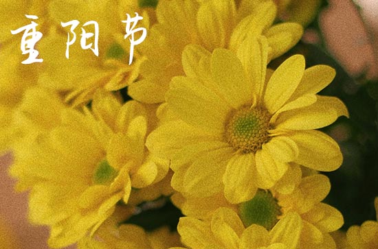 九九重阳节吃的美食 重阳节吃重阳糕原因