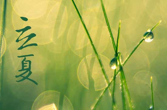 立夏节是什么节日 立夏节的习俗有哪些