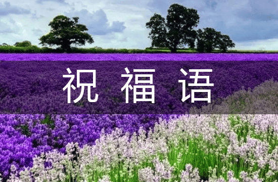 2025年高端大气端午节祝福语精品132句
